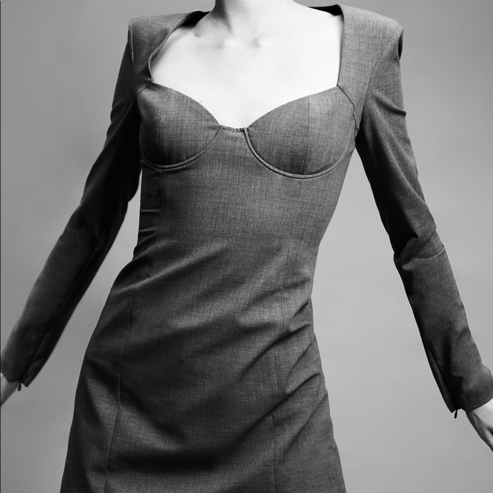 Brand New Elegant Office Dress ZARA 34 XS